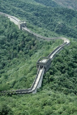the wall 3.jpg