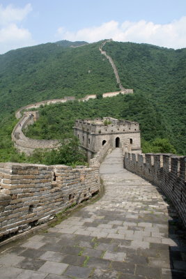 the wall 5.jpg
