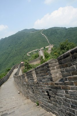 the wall 6.jpg
