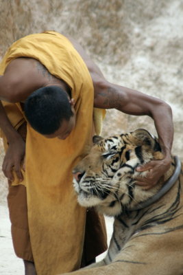 tiger n monk.jpg
