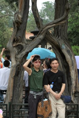 interwined tree of love.jpg