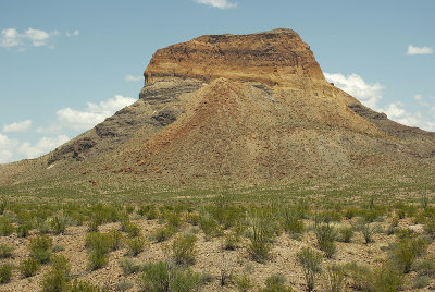 File0055-800.jpg
