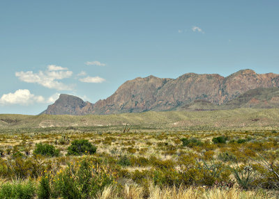 File0088-800.jpg