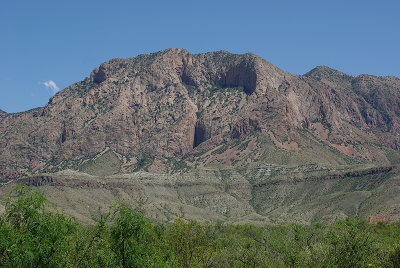 File0090-800.jpg