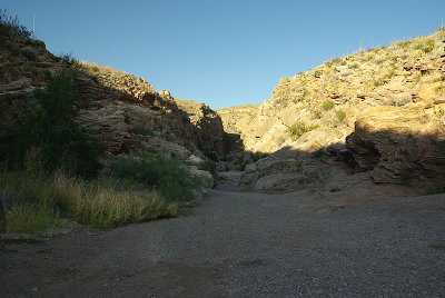 IMGP4725-800.jpg