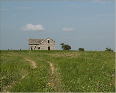 IMGP6096-800.jpg