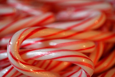 Dolce: The Candy Cane.