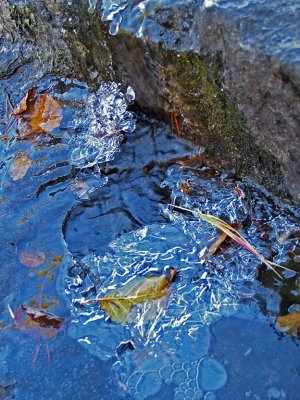 Frozen Fall Stream.jpg