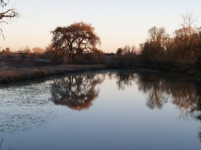 Pond at Dawn.jpg