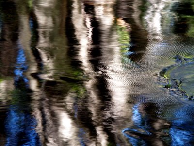 Bear River Reflections 2.jpg