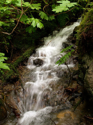 Unnamed Creek Garibaldi Park.jpg
