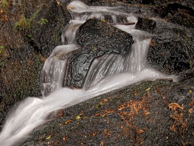 Bear River in Fall Plastic Wrap Brush.jpg