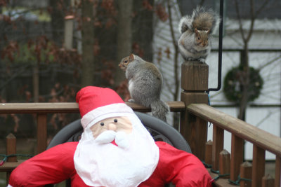November 28, 2006Santa and Squirrels