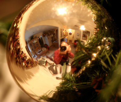 Reflection in Christmas Ball