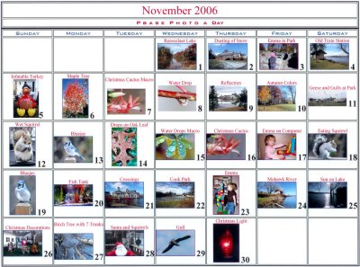 November 2006 - Photo a Day