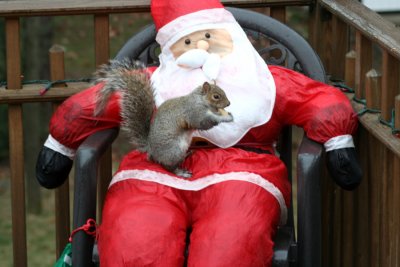 December 7, 2006Squirrel and Santa