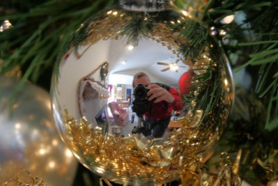 My Reflection in a Christmas Ball
