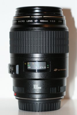Canon EF 100mm f 2.8 Macro