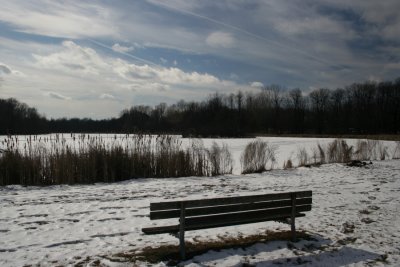 February 11, 2007Bench and Pond