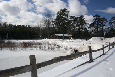 February 16, 2007<BR>Snow in Cook Park