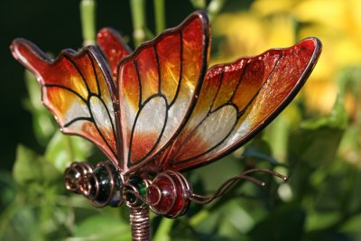 Glass Butterfly