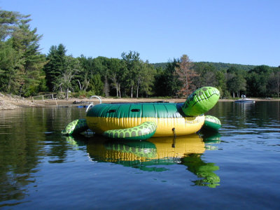 TurtleJuly 22, 2007