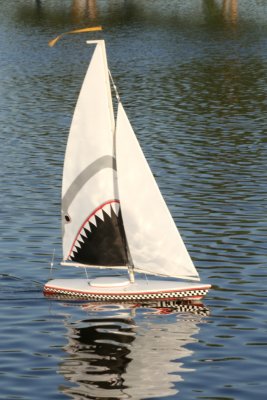 Shark SailboatAugust 28, 2007