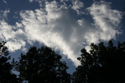 Back Yard Clouds