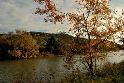 IMG_3152ci.jpg
