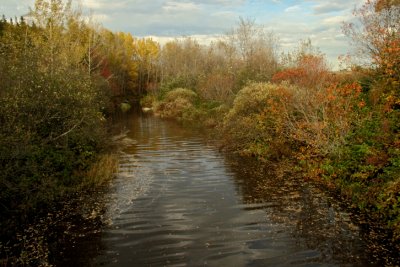 IMG_3115ci.jpg