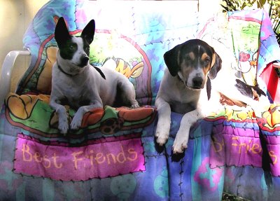 best fiends.jpg
