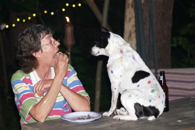 spotty dogjpg