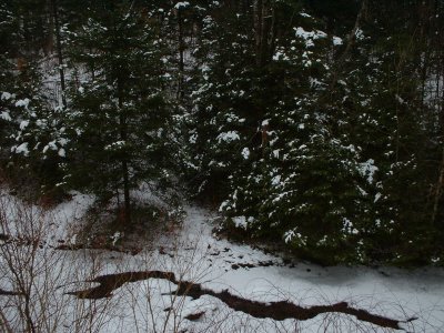 Stop and enjoy the views from the upper deck-then take the stairs to the ground level.