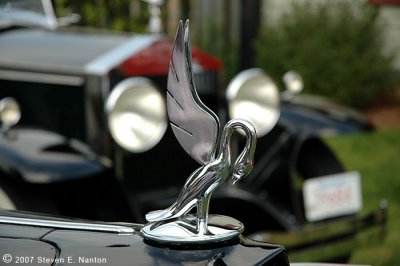 Packard Swan