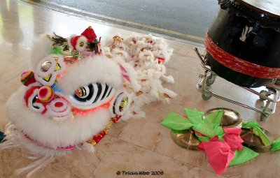 Lion Dance