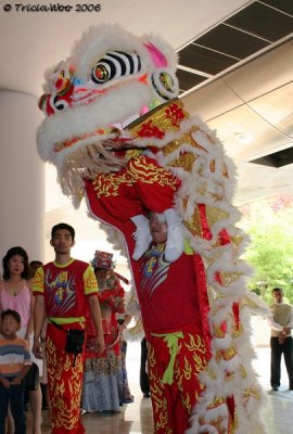 Lion Dance 2