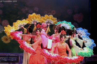 Colour and Glamour of Chinese Opera  2006