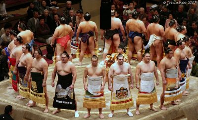 Sumo Tournament 2