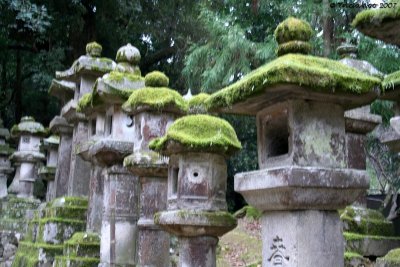 Lanterns, Nara