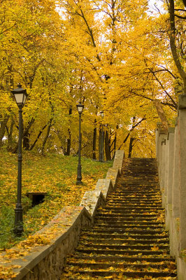 ColorsOfAutumn_1.jpg