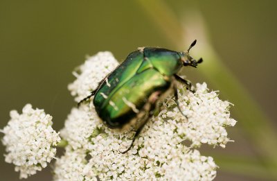 g6/56/689056/3/68811056.eutAjwZZ.jpg