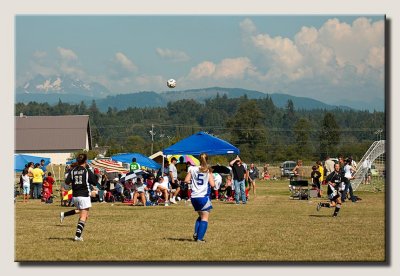 IMG_4113.jpg
