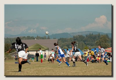 IMG_4200.jpg