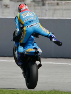 Nobby back straight.jpg