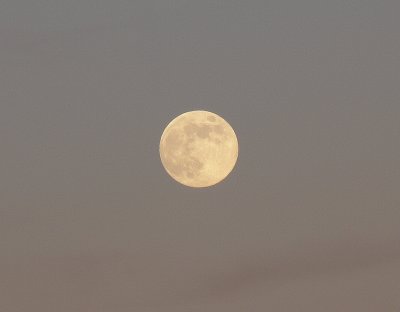 g6/56/725356/3/71398226.7e5Zd67L.jpg