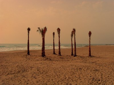 Around the Beach Promenade