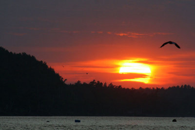 USA_ME_Bar Harbor coucher de soleil