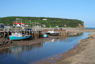 09_NB_Alma.jpg