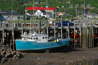 10_NB_Alma.jpg