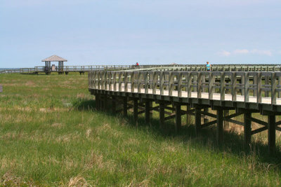 34_NB_Dune-de-Bouctouche_.jpg